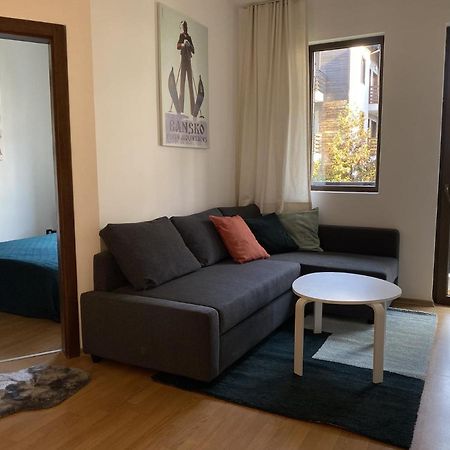 2 Bedroom Apartment Next To Gondola Ski Lift Bansko Exterior photo